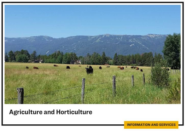 Agriculture & Horticulture> <br><span id=